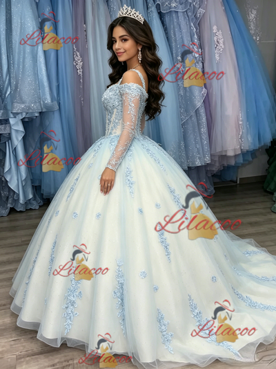 White Tulle Appliques Long Sleeve Quinceanera Dress