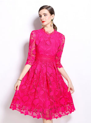 Long Sleeves and Slim Lace Dress