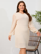 Casual Round Neck Chiffon Long Sleeve Dress