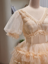 Champagne Tulle V-neck Beading Homecoming Dress