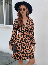 Leopard Print V-neck Long Sleeve Dress
