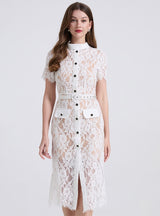 Lace Slim Perspective Short Sleeve Dress