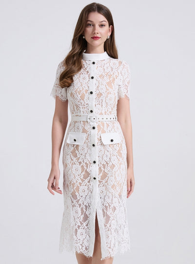 Lace Slim Perspective Short Sleeve Dress