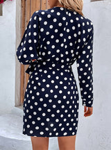 Polka Dot V-neck Long Sleeve Dress