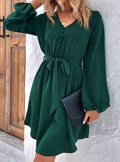 Solid Color Long Sleeve Dress