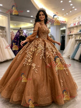 Brown Tulle Long Sleeve Appliques Quinceanera Dress