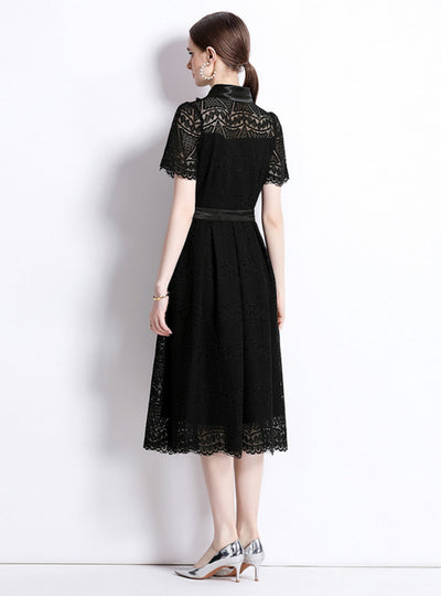 Lapel Crocheted Openwork Lace Dress