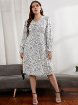 V-neck Long Sleeve Loose Dress