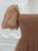 Brown Tulle Wave Point Pleats Prom Dress