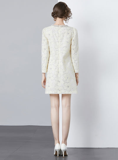 Beaded Round Neck Long Sleeve Dress