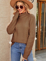 Turtleneck Twist Solid Color Knitted Sweater