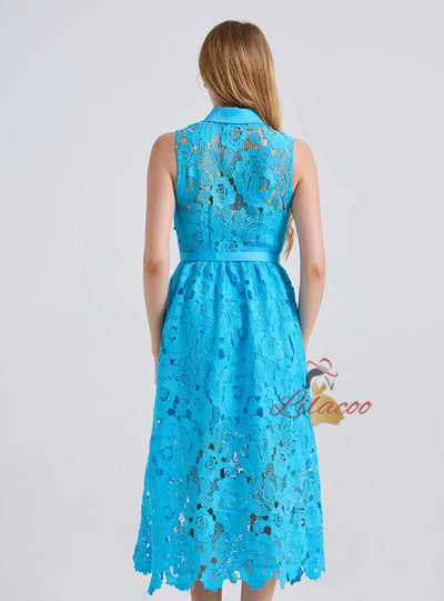 Sleeveless Long Lace Lapels Buttons Dress