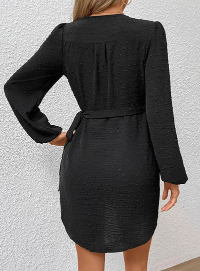 Long Sleeve Black V-neck Dress