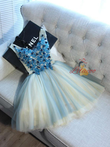 Blue Tulle V-neck Appliques Homecoming Dress