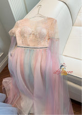 Gradual Mesh Sequined Long Dress