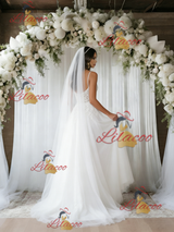White Tulle Lace V-neck Wedding Dress