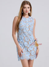 Blue Flower Lace Sleeveless Dress