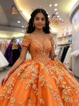 Orange Tulle Off the Shoulder Appliques Quinceanera Dress