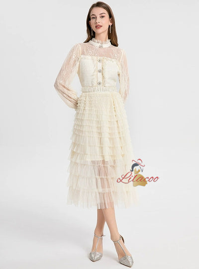 Lace Mesh Long Sleeve Dress