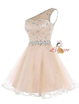 Purple Tulle One Shoulder Crystal Homecoming Dress