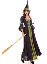 Ladies Halloween Witch Witch Costume
