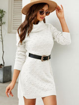 Solid Color Long Turtle Neck Sweater