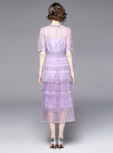 Round Neck Perspective Short Sleeve Dress