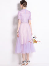 Mesh High Waist Medium and Long Dress