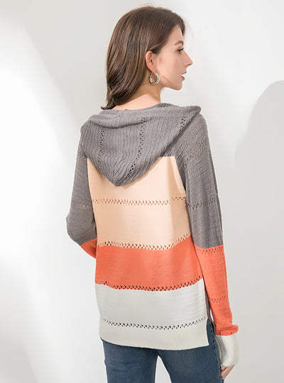 Hooded Long Sleeve Autumn and Winter Sweater