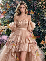 Champagne Tulle Hi Lo Prom Dress