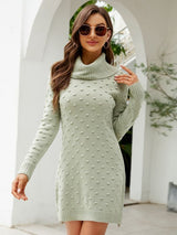 Solid Color Long Turtle Neck Sweater