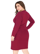 V-neck Long Sleeve Slim Elegant Dress