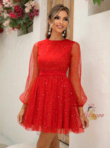 Sequins Lantern Sleeve Mesh Dress