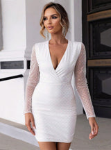 Sexy Sequined Mesh Tight Dress