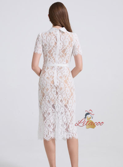 Lace Slim Perspective Short Sleeve Dress