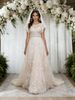 Champagne Tulle Lace Wedding Dress
