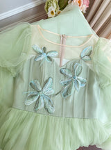 Green Gauze Long Sleeve Evening Dress