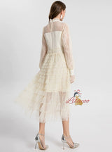 Lace Mesh Long Sleeve Dress