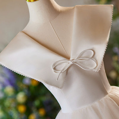 Light Champagne Tulle V-neck Homecoming Dress