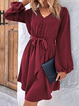 Solid Color Long Sleeve Dress