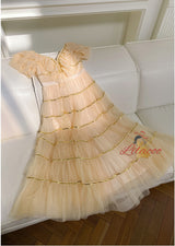 Champagne Tulle V-neck Prom Dress