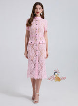 Lace Slim Perspective Short Sleeve Dress