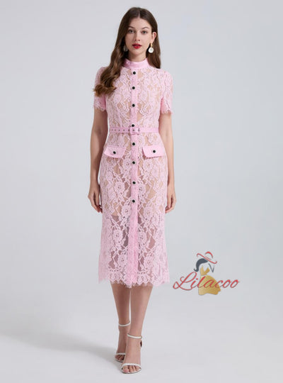 Lace Slim Perspective Short Sleeve Dress