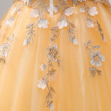 Orange Yellow Tulle Appliques Prom Dress