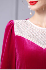 Fuchsia Velvet Long Sleeve Mother Of The Bride Dress