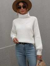 Solid Color Pullover Loose Turtle Neck Sweater