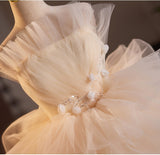Champagne Tulle Appliques Wedding Dress