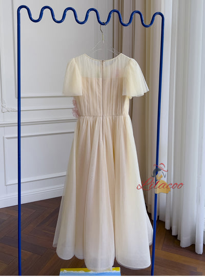 Fashion Round Neck Gauze Pleats Dress