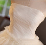 Champagne Tulle Strapless Pleats Wedding Dress