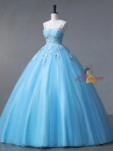 Blue Tulle Spaghetti Straps 3D Appliques Prom Dress